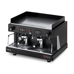 Wega-Pegaso-2Grp-300x300
