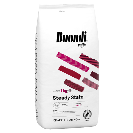Buondi_Steady-State
